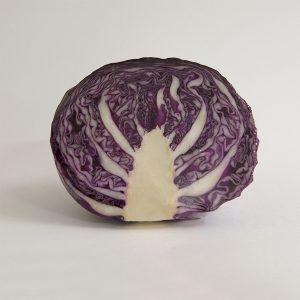 cabbage red half