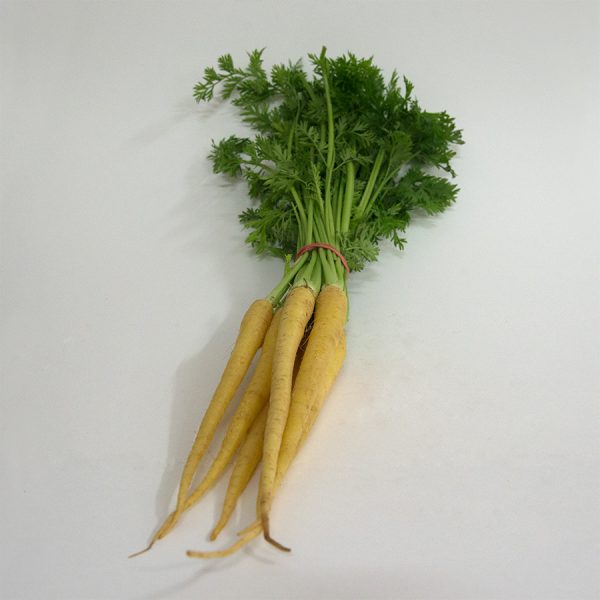 carrots dutch yellow